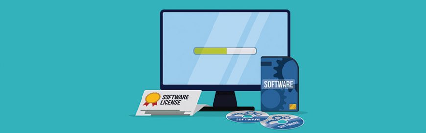 Should I License my software? A Business Approach