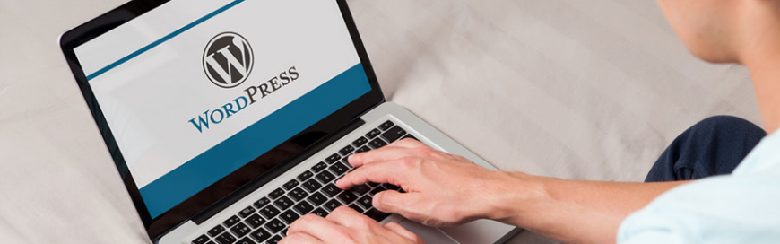 Attacks on WordPress websites