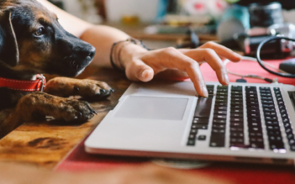 How working from home is becoming the new norm