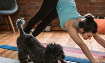 Working from home? Stay fit with these 5 easy exercise moves
