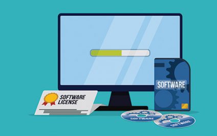 Should I License my software? A Business Approach
