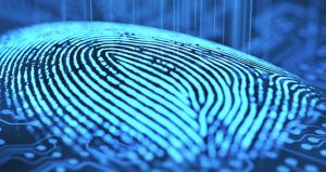 Smartphone browsers now support biometrics