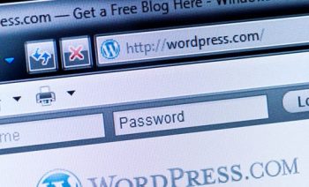 WordPress security updates: Yay or nay?