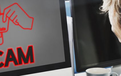 Falling for it: youth and tech scams