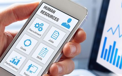 How to optimize Office 365