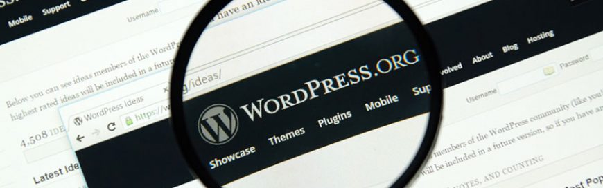 A checklist for avoiding WordPress website issues