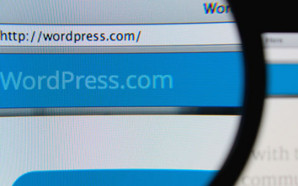 Vulnerabilities on WordPress websites