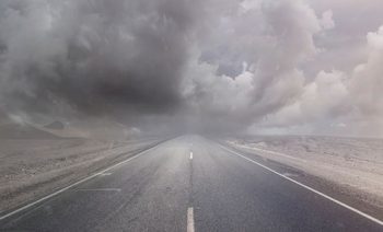 7 Steps to making your data hurricane-proof