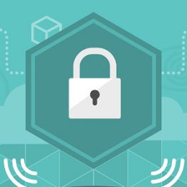 Browser extensions and online security
