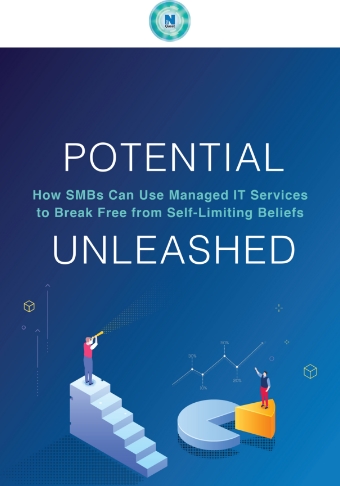 LD-NetQuest-Potential-How-SMBsCanUse-ManagedITServices-Cover