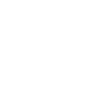 ic_s4_project_management_and_it_consulting_services