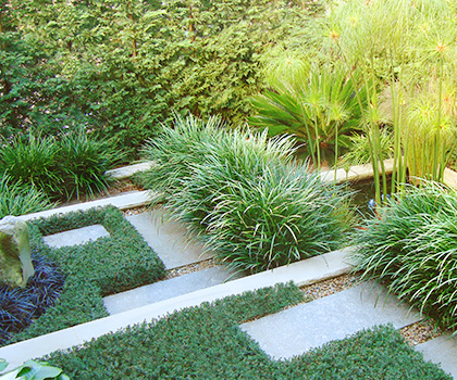 Landscaping and Lawn renovations Greater Sydney Area