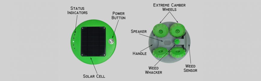 Tertill: The solar powered weeding robot for home gardens