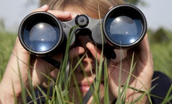 What to watch for when your IT provider is acquired