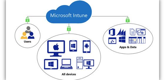 M365 Security: Securing devices and applications with Intune