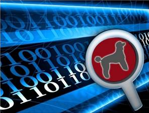 The POODLE bites again