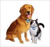 Shiny New Gadget Of The Month: Digital Pet Cam