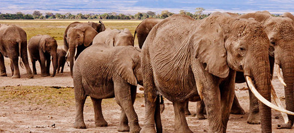 Strength in Numbers Ocala, Gainesville, Orlando