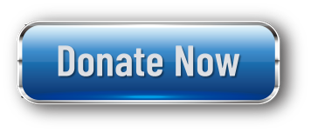 Donate-now-button