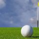 Verteks Consulting is proud to be the Presenting Sponsor for this year’s City of Eustis Charity Golf Tournament on Friday, Oct. 28th at RedTail Golf Club