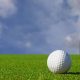 Please join Verteks Consulting for a private event at Topgolf Tampa on January 19, 2017