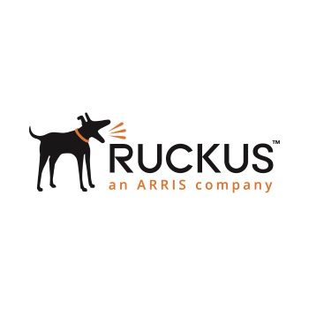 Ruckus Wireless