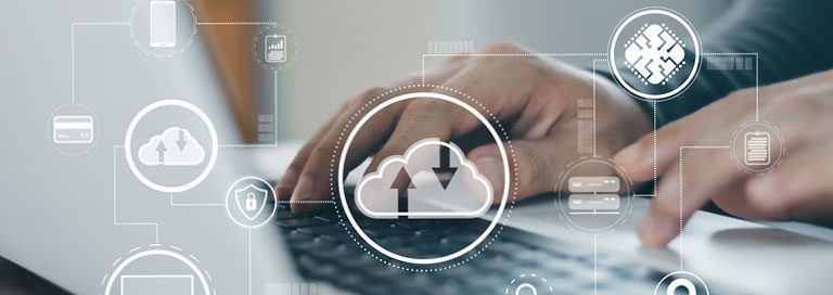 Network Flexibility