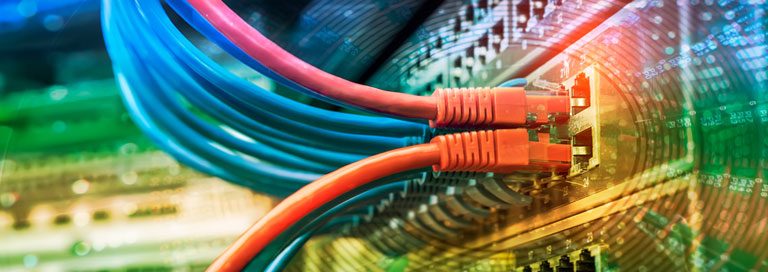 Business Network Basics