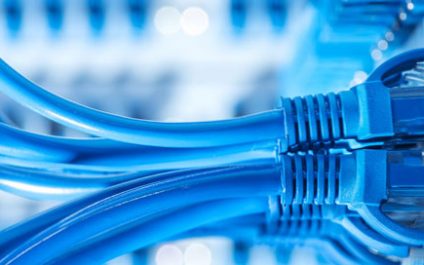 Choosing the Right Network Switches for Your Organization