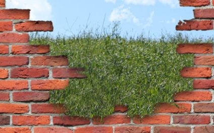 How to Relieve Your Patch Management Burden