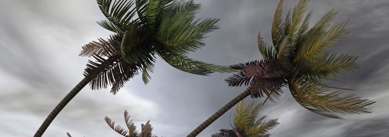 How UCaaS Improves Disaster Preparedness and Business Continuity