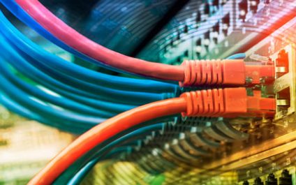 Business Network Basics