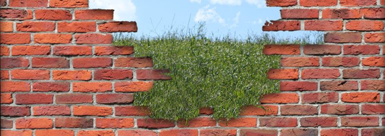 How to Relieve Your Patch Management Burden