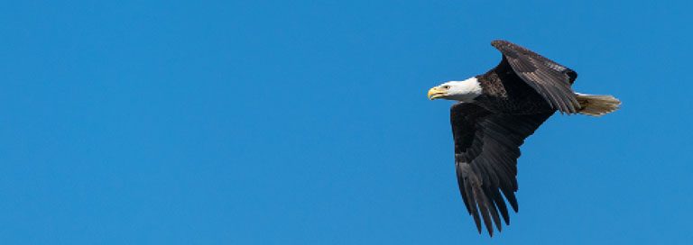 Remote Monitoring and Management Speeds Problem Resolution