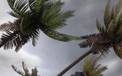 How UCaaS Improves Disaster Preparedness and Business Continuity