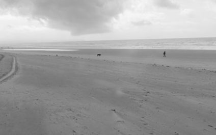 Don’t Ignore IT Warning Signs