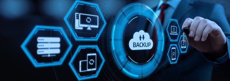 Data Protection Wellness Plan