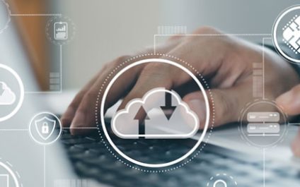 Network Flexibility