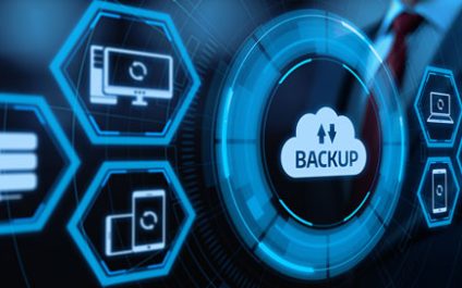 Data Protection Wellness Plan