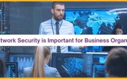 Why Network Security Is Important For Business Organizations