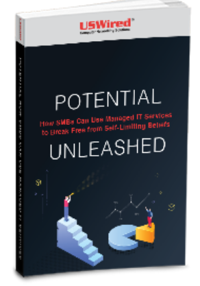 LD-USWired-Potential-How-SMBsCanUse-ManagedITServices-eBook-Cover