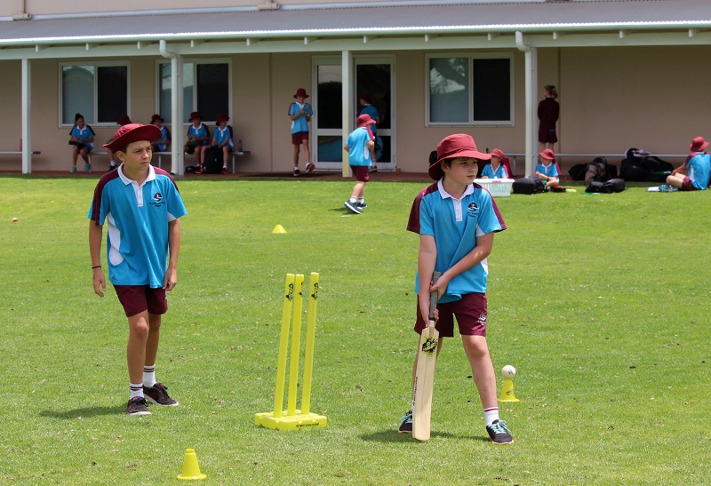 Year 5 and 6 students enjoy Cricket T20 Blast (7)