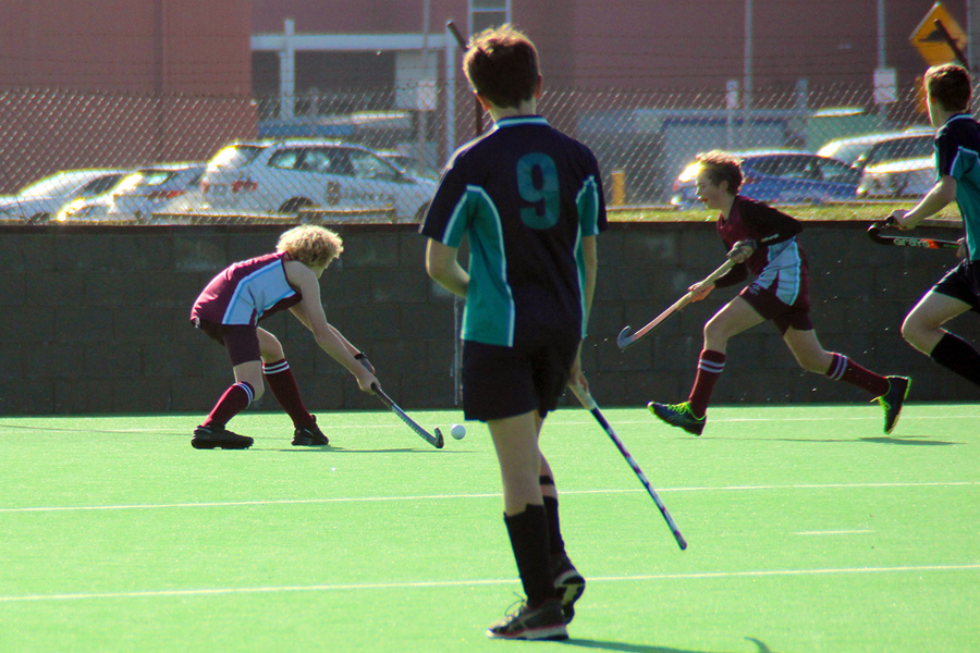 IMG_3908 IMG_3908