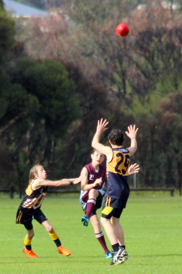 img_3246 img_3246