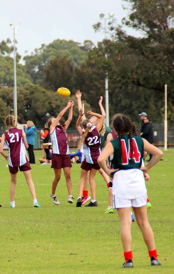 img_3520 img_3520