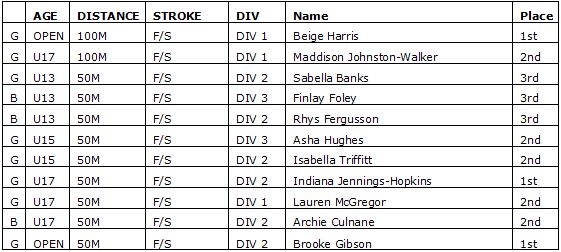 Best-Individual-Results_01