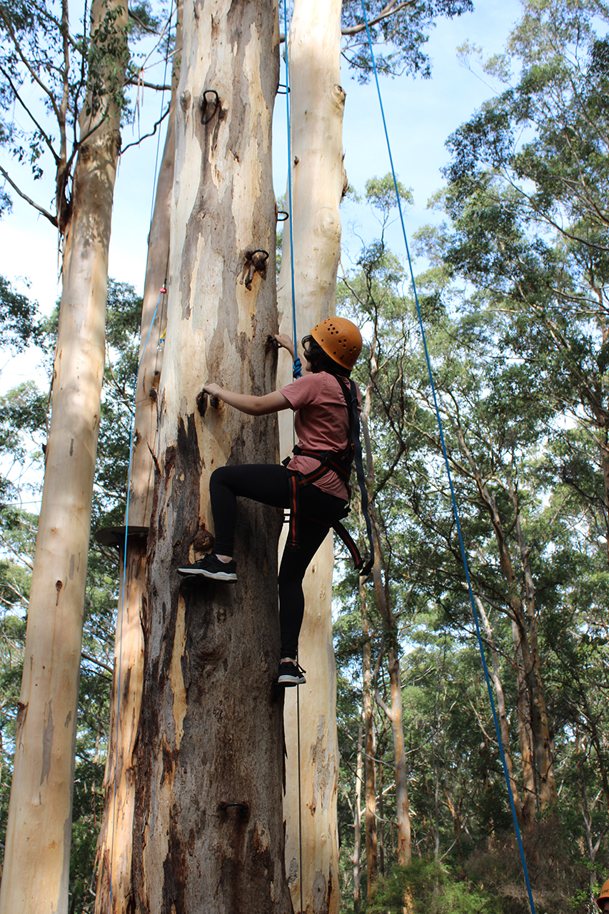 Yr9 IMG_1581