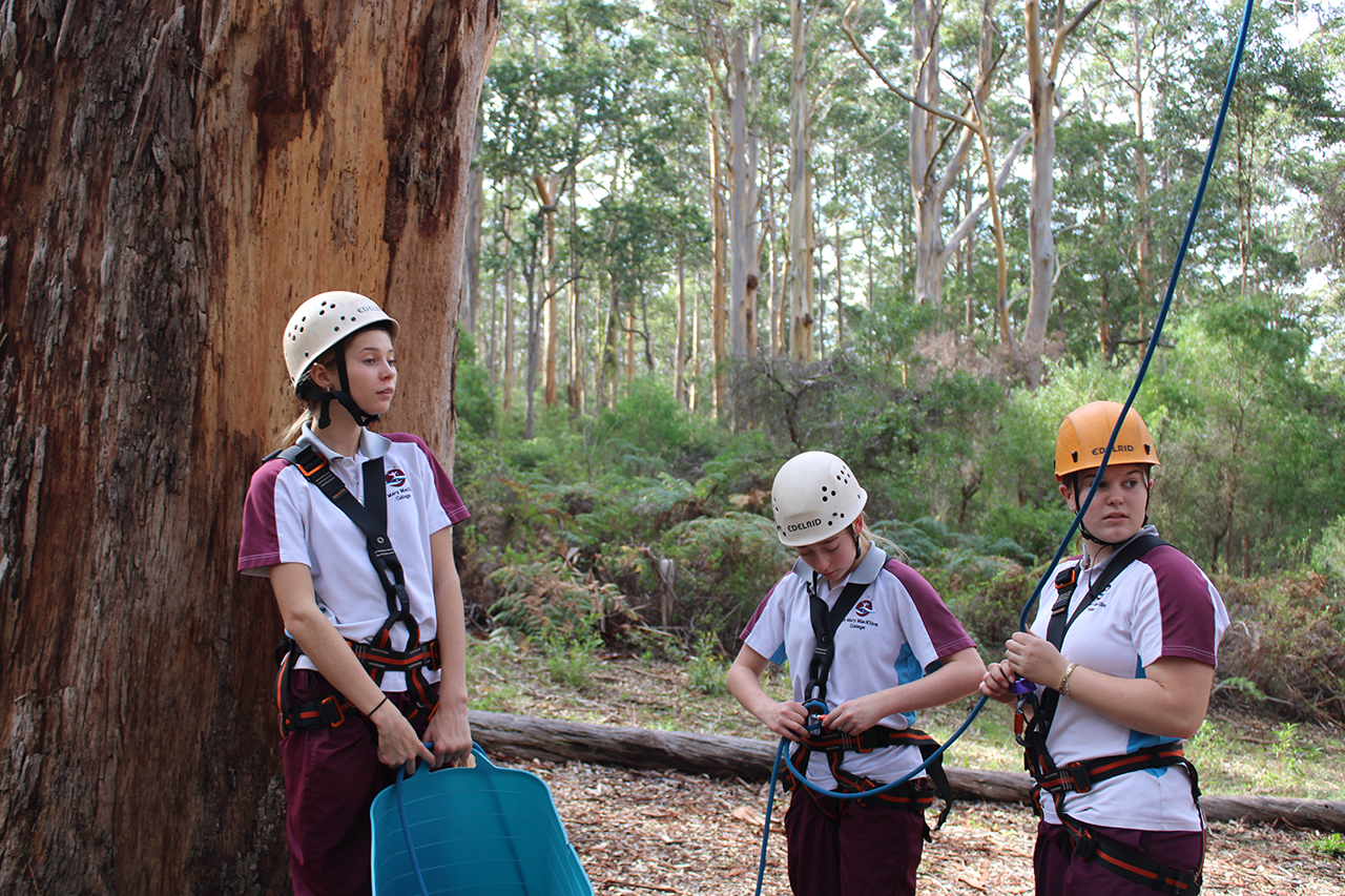 Yr9 IMG_1582