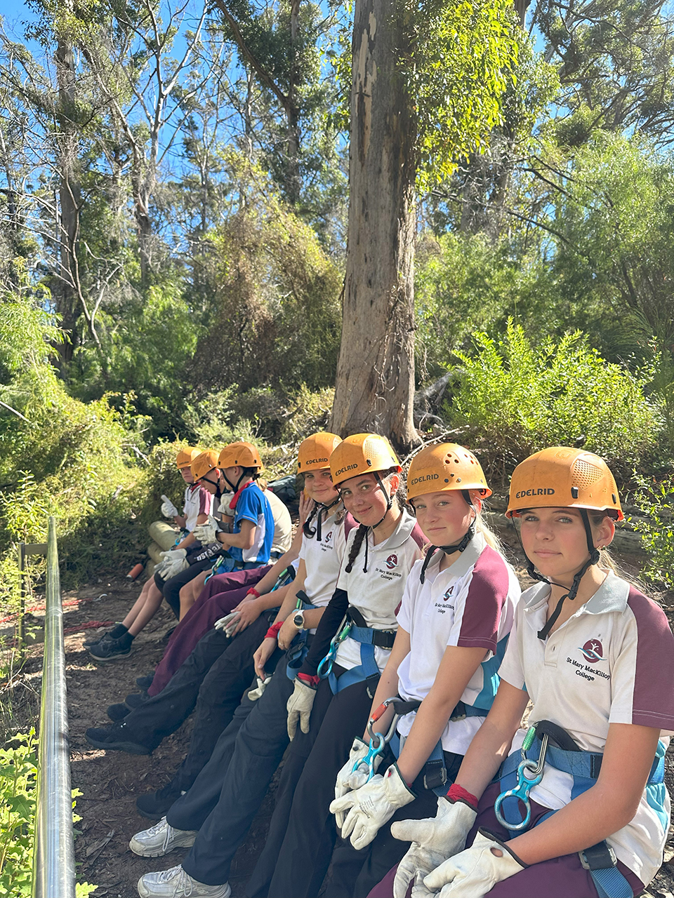 Yr9 IMG_8707