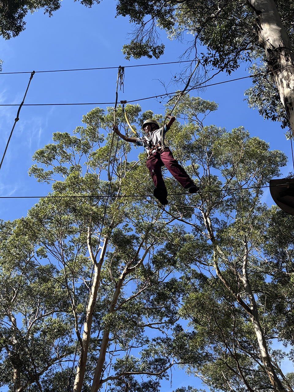 Yr9 IMG_9310